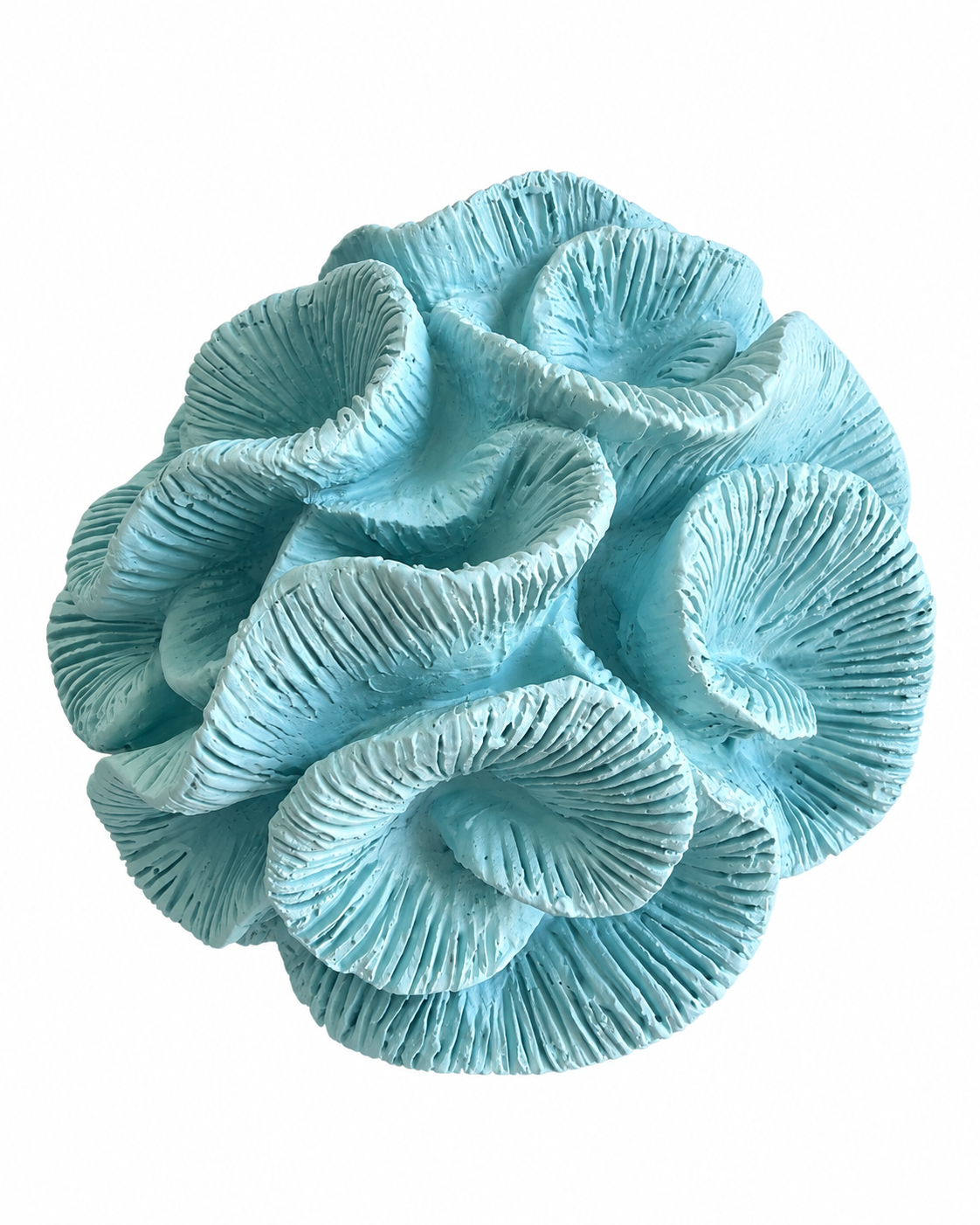Blue Coral Mushroom Cluster
