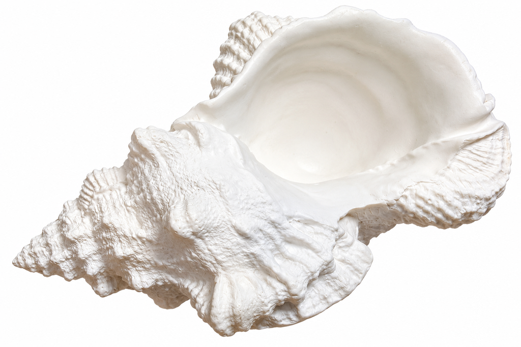 Coastal Haven White Conch Shell Ornament