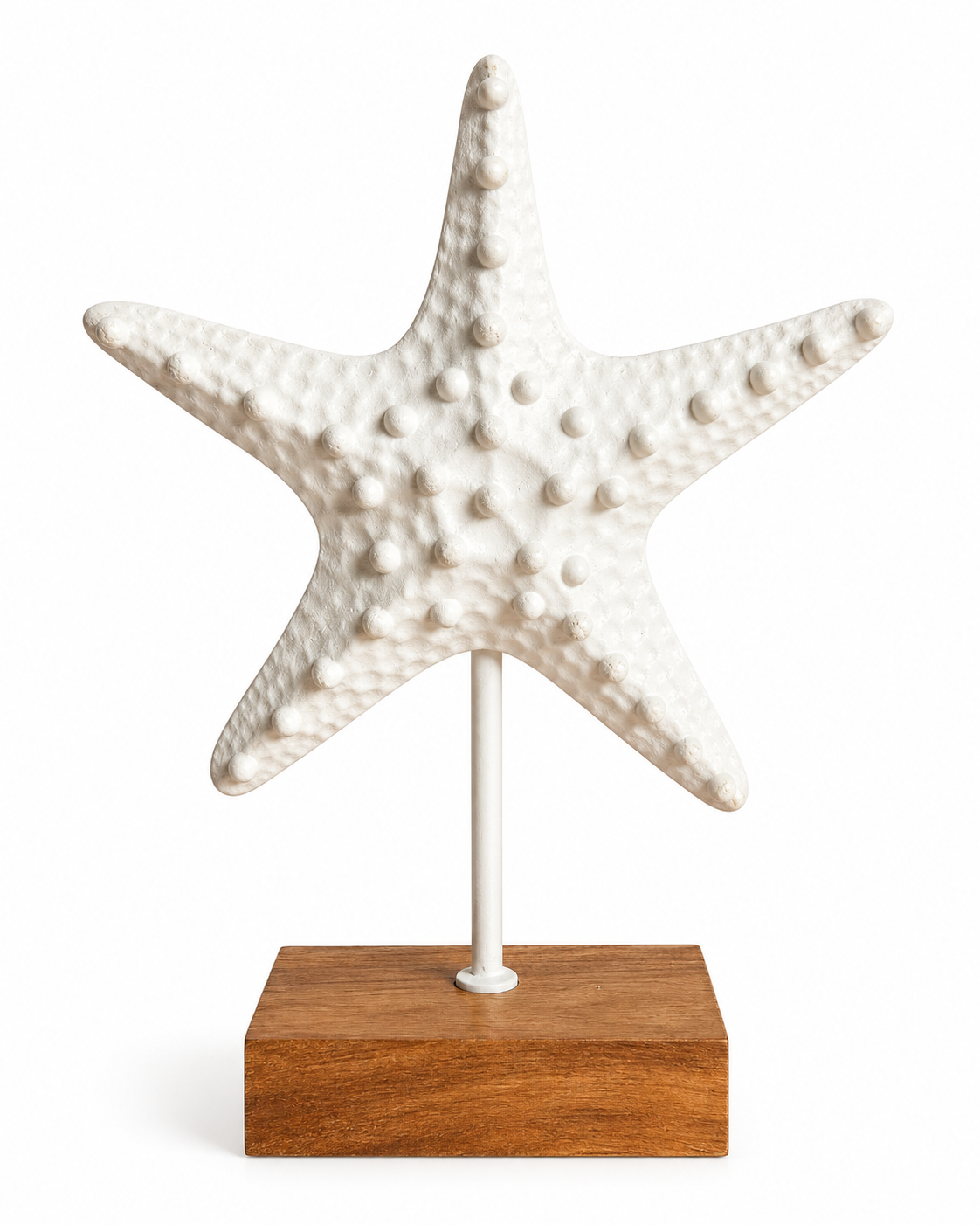 Coastal White Starfish Sculpture on Wooden Stand